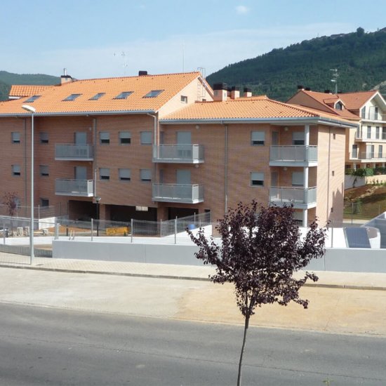 21 Viviendas en Jaca (Huesca)